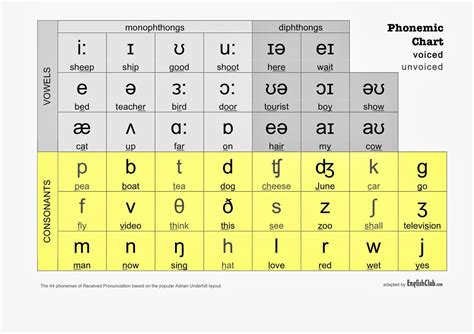 METU INT22: INTERNATIONAL PHONETIC ALPHABET