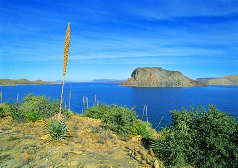 Elephant Butte Lake, New Mexico Photograph by Buddy Mays