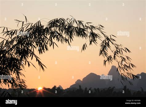 China, Guangxi, Yangshuo, sunrise, bamboo Stock Photo - Alamy