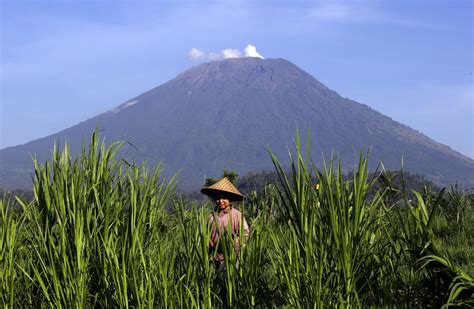 Bali volcano's alert status lowered after decreased activity - The ...