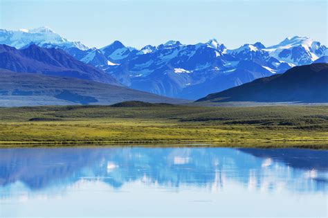 Resurrection Bay Wildlife Viewing Cruise – Anchorage Waldorf School