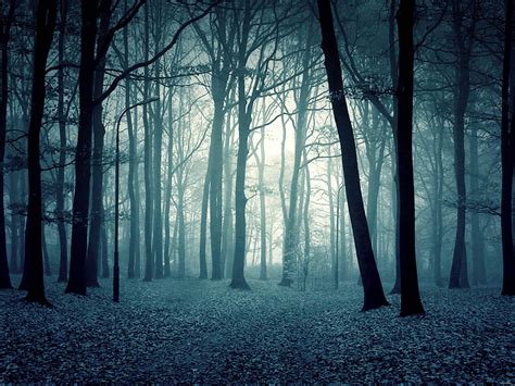 Scary Woods Wallpapers - Wallpaper Cave