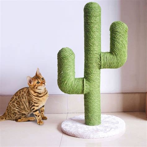 Cactus Cat Scratcher Tree in 2020 | Cat scratcher tree, Cat scratcher ...