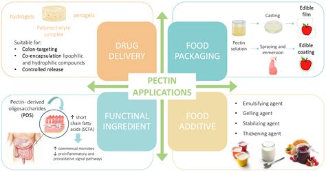 Molecules | Free Full-Text | Towards Valorization of Food-Waste-Derived ...