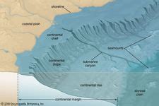 Abyssal plain | geology | Britannica.com