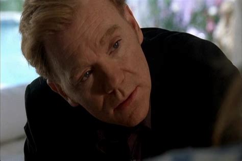 Horatio - Lt.Horatio Caine Photo (40434032) - Fanpop