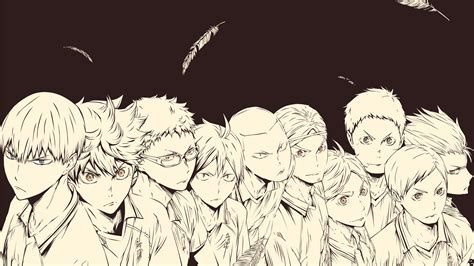 Karasuno Wallpapers - Top Free Karasuno Backgrounds - WallpaperAccess