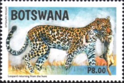 Commonwealth Stamps Opinion: 946. New Botswana Stamps Depict Leopards.