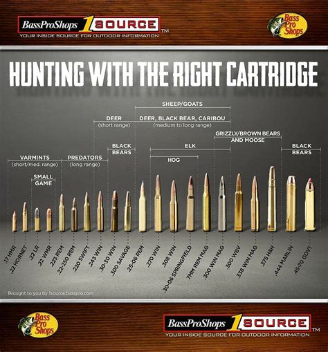 Rifle Bullet Size Chart Why Does Anyone Need An Ar 15 Rifle?