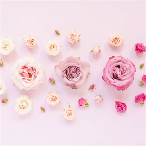 An ombre pastel rose FREE Desktop Wallpaper for Spring 2020 Archives ...