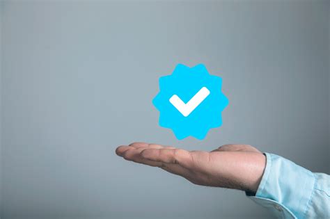 Should You Invest In Twitter Blue Or Meta Verified?