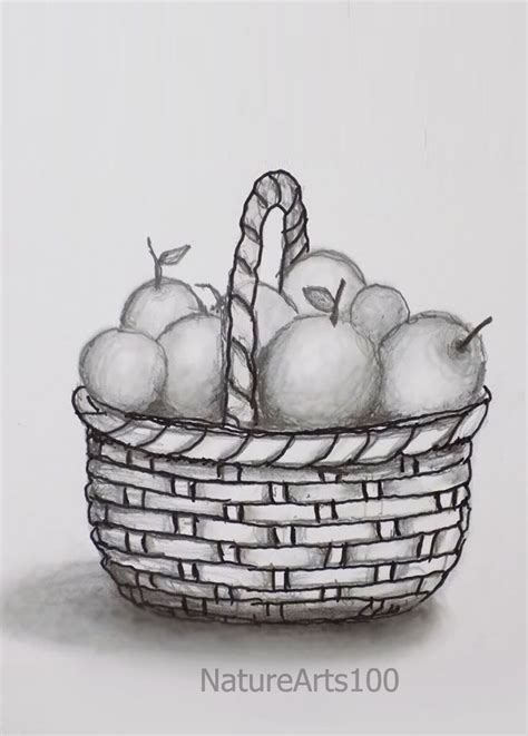 Still life Pencil Shading, Draw a Basket , Easy Sketch still-life ...