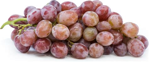 Candy Heart Grapes Information and Facts