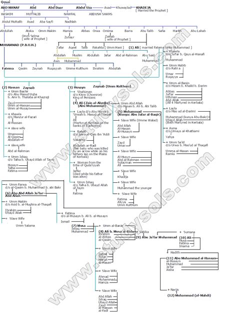 History of Hazrat Ali, Family Tree Life,Sword,Mojzay and Tomb Grave ...