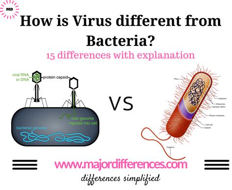 15 Differences between Bacteria and Virus