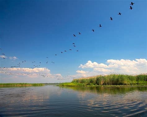 3 Days Danube Delta Biosphere Reserve Trip (UNESCO site) | ADVANCED Travel