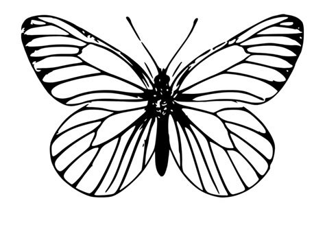 butterfly clipart outline 20 free Cliparts | Download images on ...