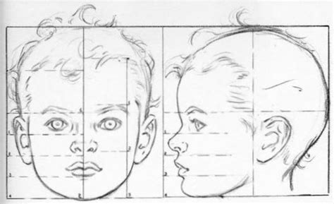 How to Draw Baby and Toddlers Heads in The Correct Proportions ...