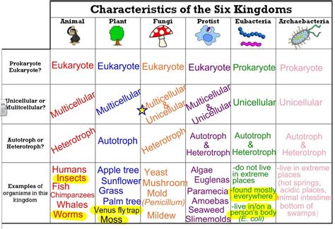 Classification - Ms A Science Online www.msascienceonline.weebly.com