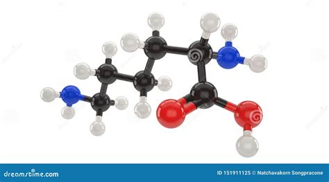 Lysine Molecule Structure Royalty-Free Stock Image | CartoonDealer.com ...