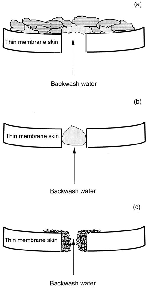 Mechanisms of membrane fouling: (a) gel/cake formation; (b) pore ...