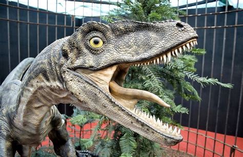 Velociraptor | Características, hábitat, alimentación, inteligencia ...