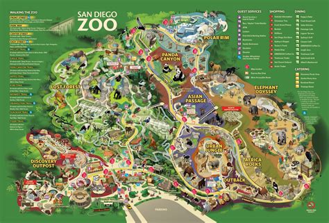 Printable San Diego Zoo Map