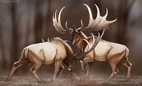 Irish Elk-Megaloceros giganteus | The World of Animals