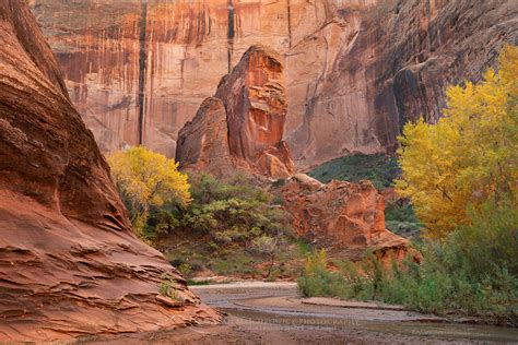 Coyote Gulch, Glen Canyon National Recreation Area - Alan Majchrowicz ...