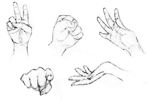 Drawing the Human Figure: The Hands | HubPages