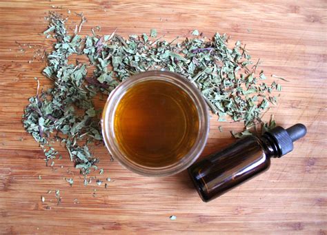 How to Take an Herbal Tincture — Wildkraft Herbs