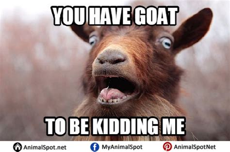 Goat Memes