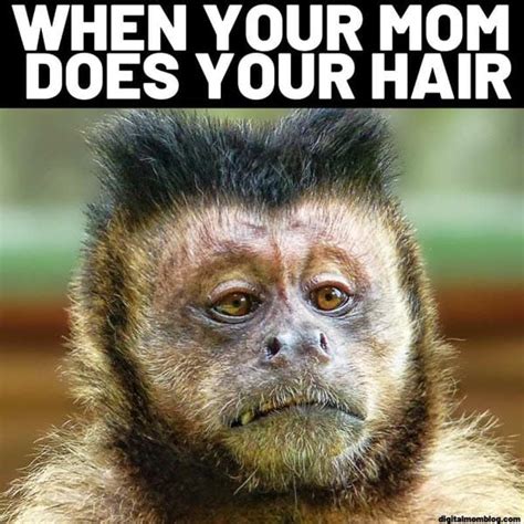 25 Funny Monkey Memes You'll Totally Fall In Love With - SayingImages.com