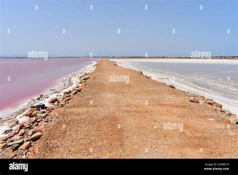 Salt lakes at the Torrevieja salt works, Torrevieja, Alicante, Spain ...