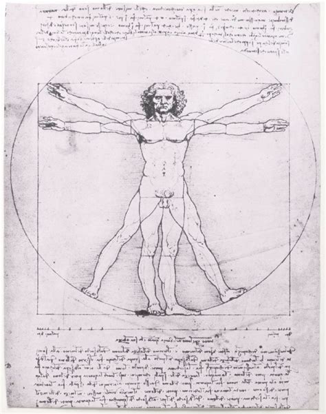 Leonardo da Vinci - Anatomy, Art, Science | Britannica