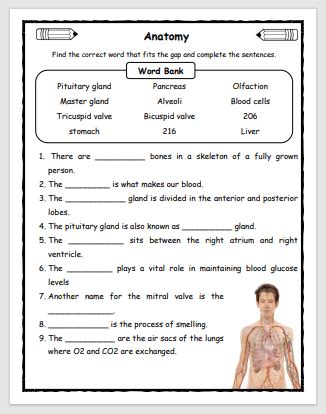 Anatomy Fill in the Blanks Worksheet - EnglishBix