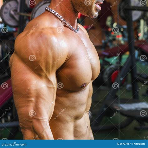 Bodybuilder Working Out at Gym, Side View of Muscular Chest, Pecs, Arms ...