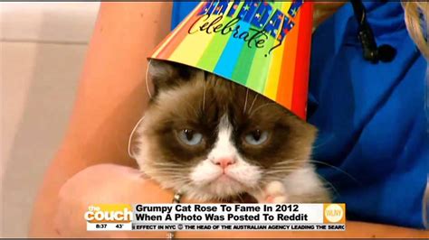 Sad Cat Birthday Meme - Quotes Viral