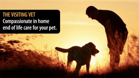 In Home Dog and Cat Euthanasia – Visiting Vet