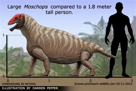 Moschops - Alchetron, The Free Social Encyclopedia