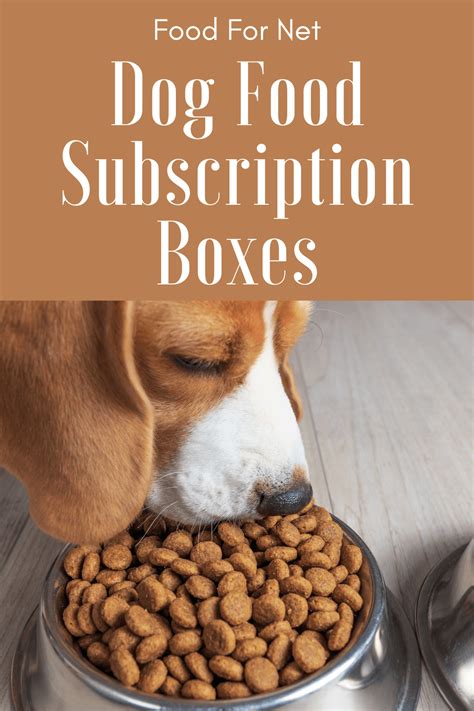 7 Dog Food Subscription Boxes Perfect For Your Pup! | Food For Net