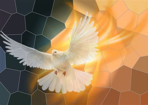 Download Pentecost, Dove, Religion. Royalty-Free Stock Illustration ...