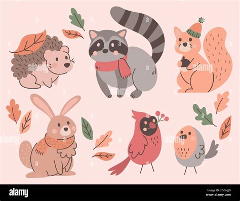 Hand drawn autumn animals collection Vector illustration Stock Vector ...