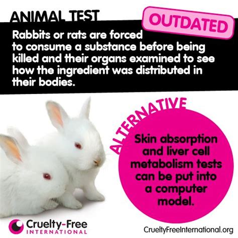 12 best images about Animal Testing Facts on Pinterest | Coin toss ...