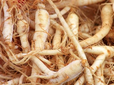 Best supplements for erectile dysfunction: Ginseng relaxes the muscles ...