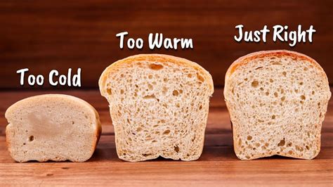 How Does Temperature Affect Fermentation? | Atlas Scientific