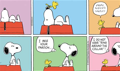 Peanuts: Snoopy and Woodstock | Read Comic Strips at GoComics