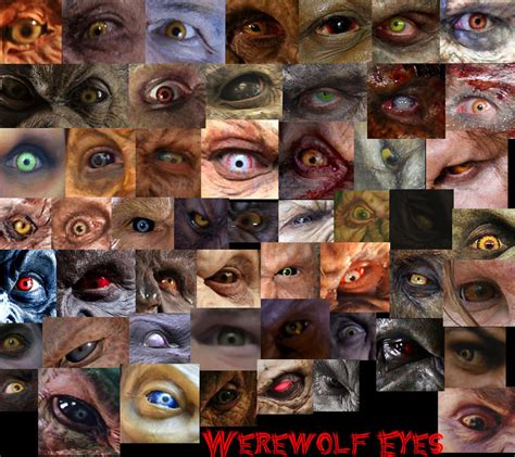 Werewolf Eyes by chowduke on DeviantArt