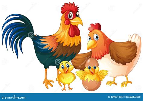 Isolated Chicken Family on White Background Stock Vector - Illustration ...