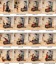 Weider Pro 8900 Workout Chart | Weider Pro 256 http://foro ...